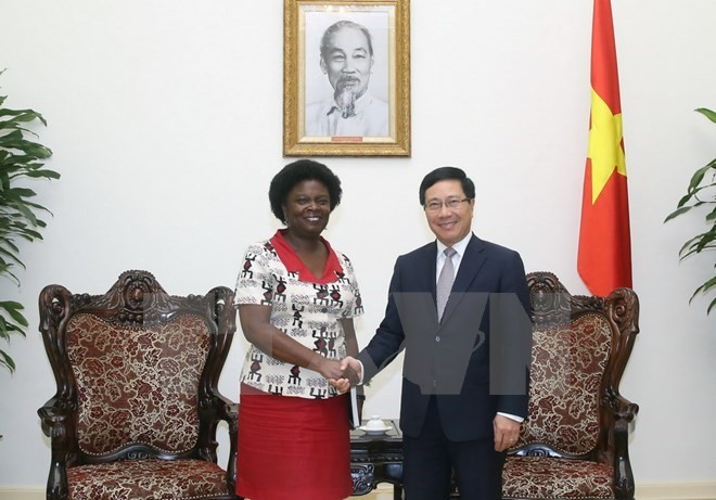 Deputy Prime Minister welcomes WB Vice President - ảnh 1